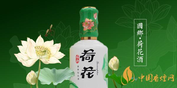 荷花酒53度多少錢一瓶 荷花酒價(jià)格表圖大全