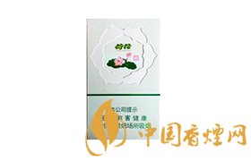 2020荷花牌香煙價(jià)格一覽表